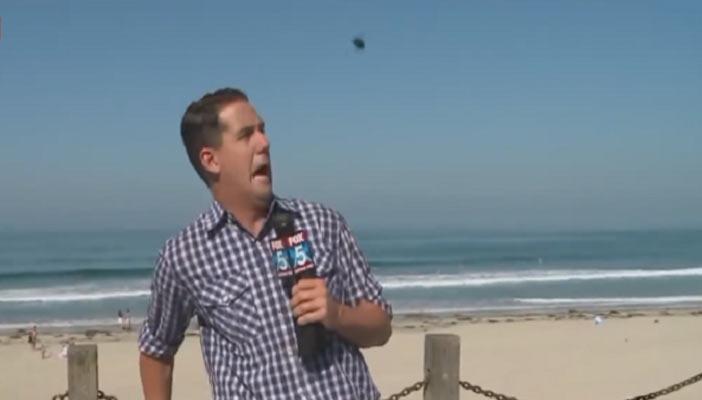 بالفيديو.. صرصار طائر يصيب مذيعًا أميركيًا بالرعب