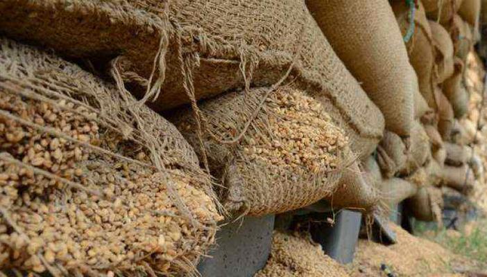 مصر تشتري 170 ألف طن من القمح الروسي