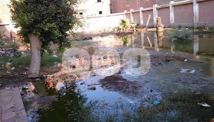 بالصور .. مياه الصرف الصحي  تغرق شوارع “بلاي” بالغربية حتي بيت العمدة