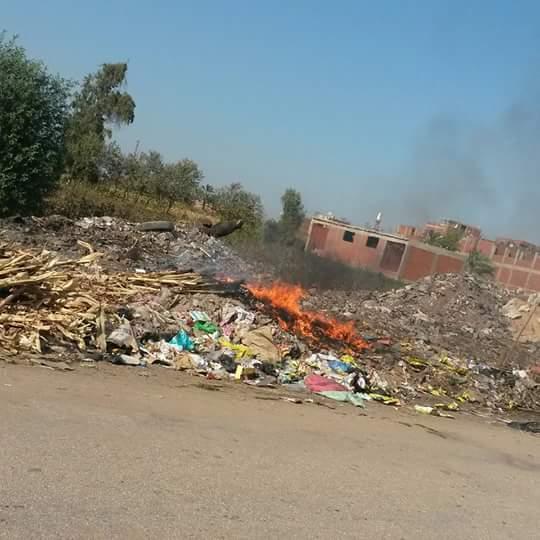 انتشار أكوام القمامة بقرى الشرقية.. والأهالي: “مش عارفين ناخد نفسنا”