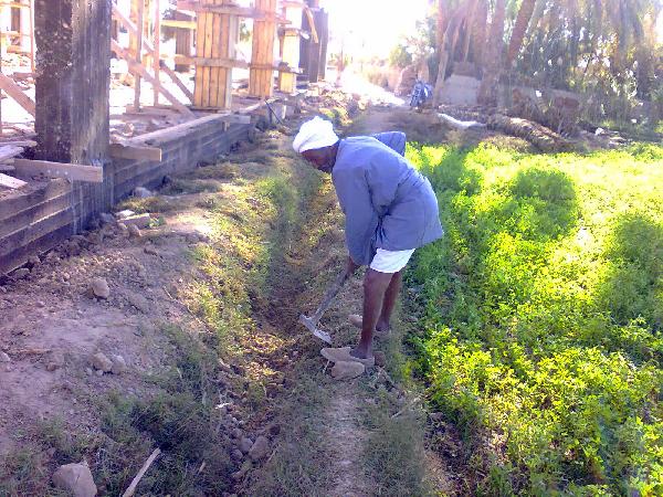 الفلاح .. منسيٌ حتى في عيده