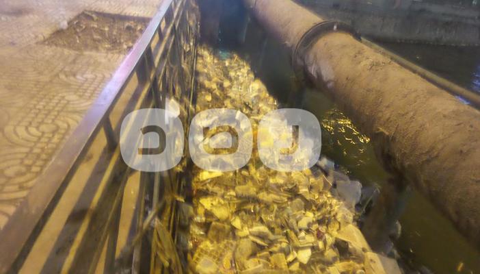 بحر يوسف بالفيوم.. من معلم سياحي إلى مصرف لمياه الصرف الصحي