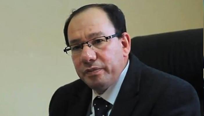 البرادعي “العميل” وعساكر الهجانة