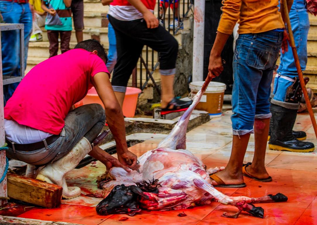 بالصور.. ذبح الأضاحي.. نسك يحرص عليه المسلمون رغم الغلاء