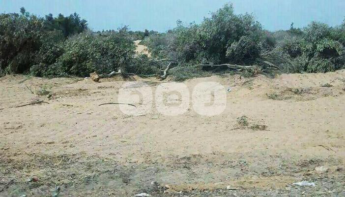 أهالي “الحسينات”: الجيش يجرف أشجار الزيتون بدلاً من ملاحقة المسلحين