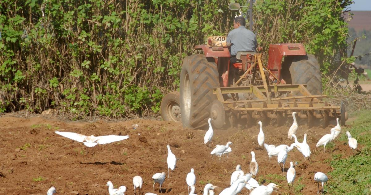 بسبب الجفاف.. تحذيرات من “انتفاضة عطش” في تونس بسبب أزمة المياه