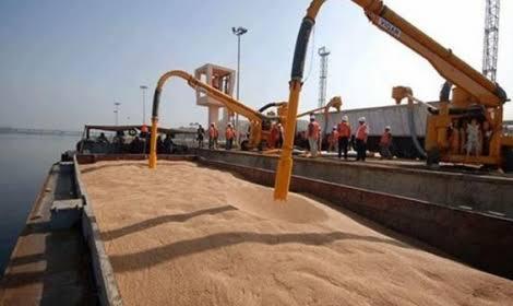 وزارة التموين تطرح مناقصة عالمية غدًا لاستيراد القمح من أي منشأ