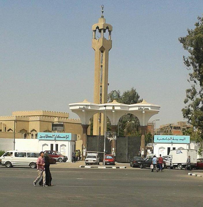 أزهريون: لن تمنعنا أسوار وبوابات الانقلاب من دفاعنا عن الحق