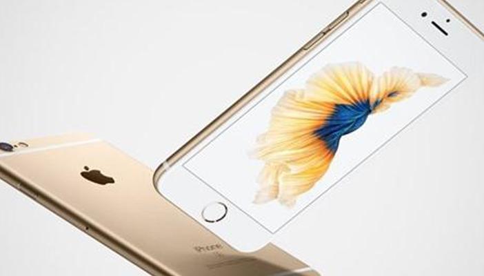 سمكة تحدد لون “آي فون 6S” الجديد