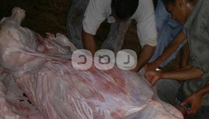 الجزارون يثيرون استياء الأهالي بسبب المغالاة في أسعارهم