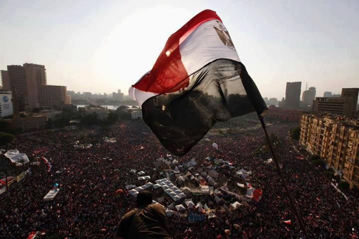 حقائق مصرية – عمرو حمزاوي