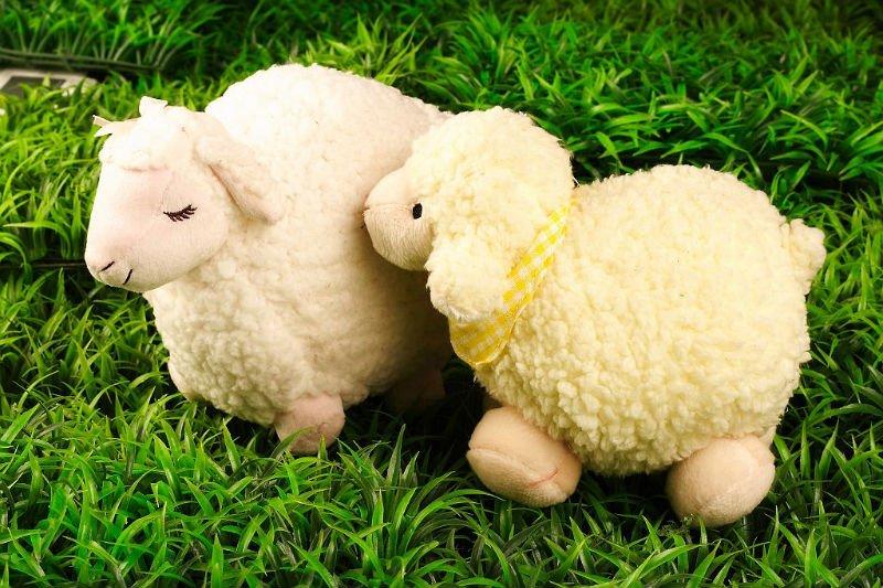 المصريون يستبدلون خروف العيد بدمية صيني بسبب غلاء الأسعار