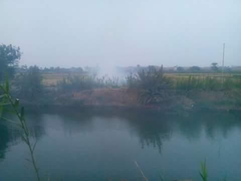 أهالي الشرقية يستغيثون بالمسؤولين لإنقاذهم من أزمة “حرق قش الأرز”