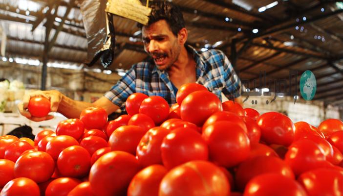 ارتفاع غير مسبوق بأسعار الخضر والفاكهة بأسواق الإسماعيلية