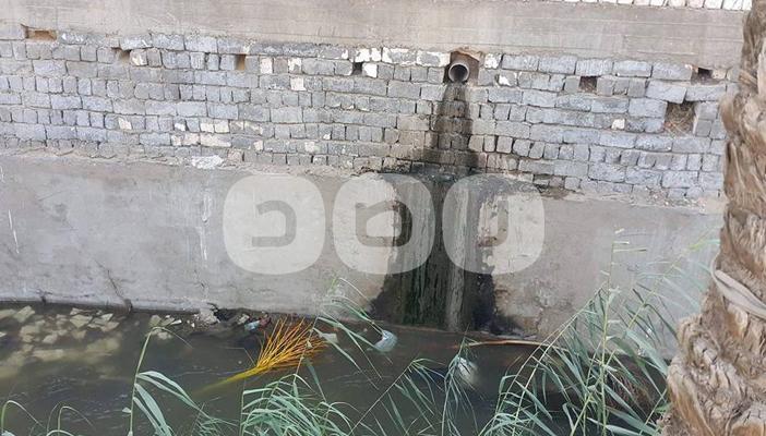 الفيوم: الأراضي الزراعية تُروى بمياه الصرف الصحي والمسؤولون في غفلة