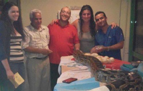 طبيب مصري ينجح في استخراج 33 بيضة من ثعبان طوله 4.5 متر