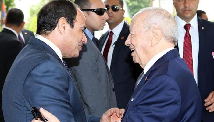 الرئاسة التونسية تكشف حقيقة الوساطة بين السيسي والإخوان