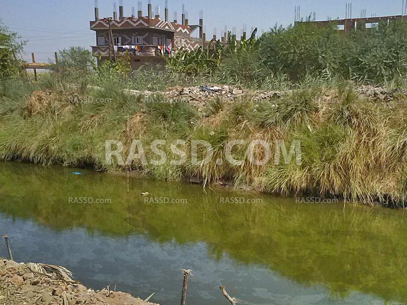 جفاف ترع الصعيد.. يهدد بمشاكل زراعية كبيرة