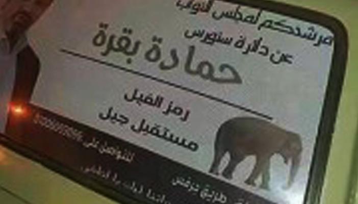 البقرة وأنّون وشيمكو وتاسوني.. أبرز أسماء مرشحي الانتخابات