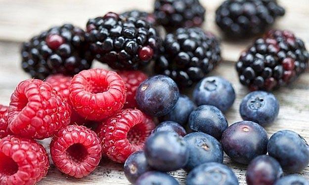 دراسة: التوت الأزرق يقوي الذاكرة ويساعد على تفوق الطلاب