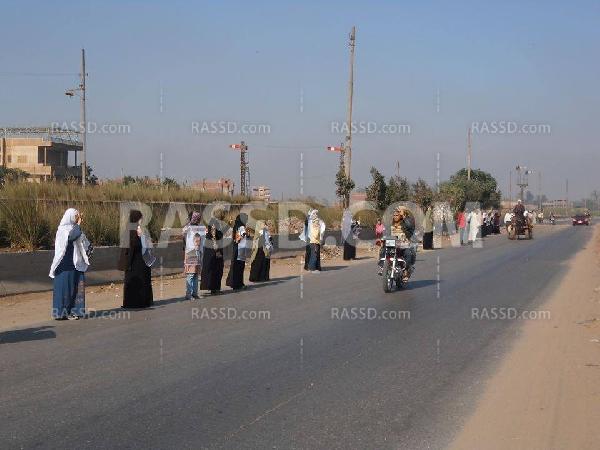 سلسلة رافضة للانقلاب بالدقهلية بجمعة كشف الحساب
