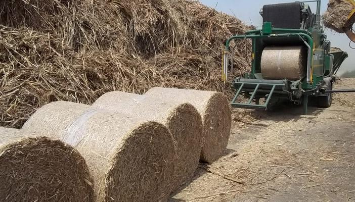 الحكومة تمنع فلاحي البحيرة من حرق “قش الأرز” ولا توفر لهم الحل البديل