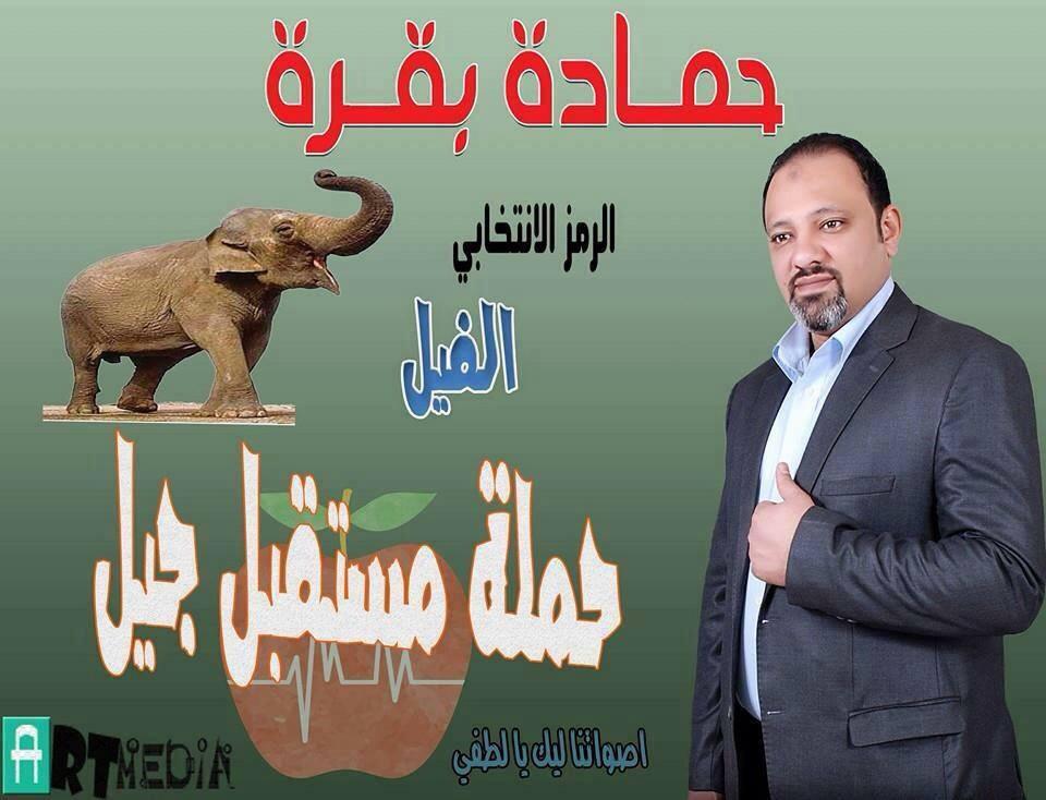 البقرة وأنّون وشيمكو وتاسوني.. أبرز أسماء مرشحي الانتخابات