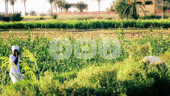 عمال الأجور اليومية بالفيوم.. بين إهمال الدولة وكثرة الديون وقلة العمل