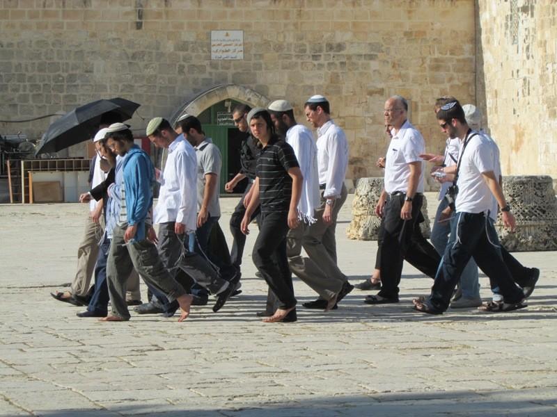 64 مستوطنًا يقتحمون ساحات المسجد الأقصى