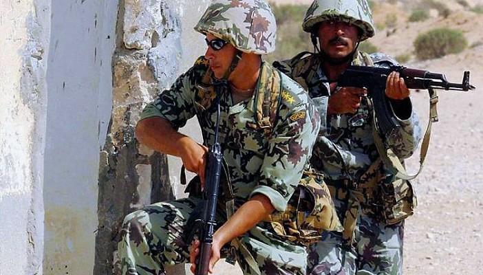 القوات المسلحة: قتلنا 20 عنصرًا مسلحًا وأصبنا 12 في حملة أمنية بسيناء
