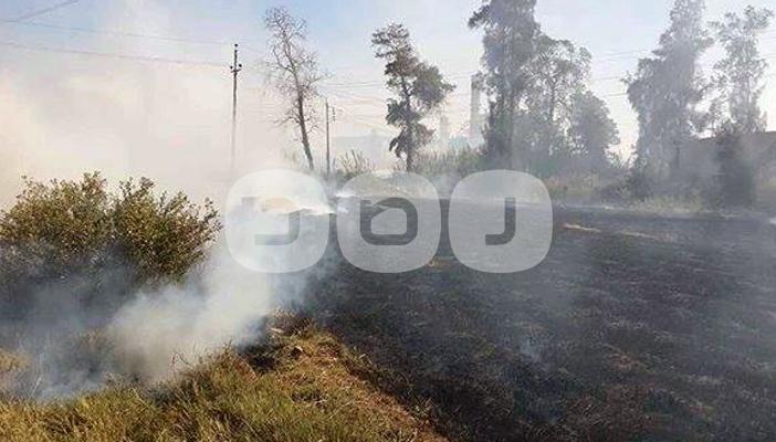 حرق قش الأرز بالدقهلية.. مشكلة لا تعرف الحل