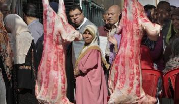 “القصابين” تطالب بإنشاء مجلس أعلى للثروة الحيوانية بعد زيادة الأسعار