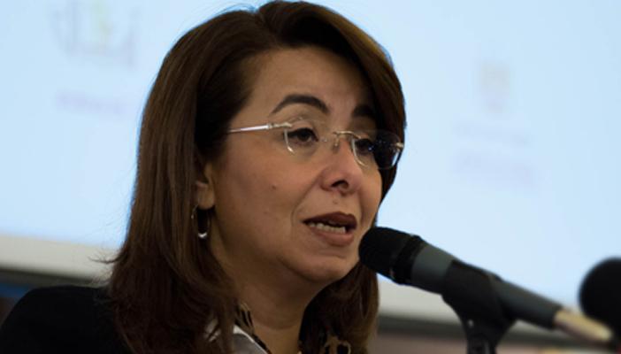 وزيرة التضامن: سهولة إجراءات الانتخابات أعطت انطباعًا بأن اللجان خالية