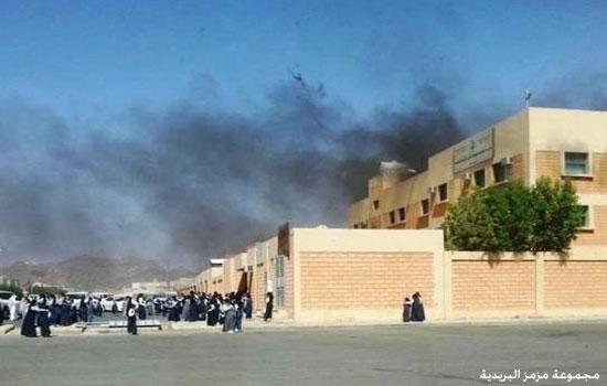 عاجل| إصابة 11 طالبة باختناق في شبين القناطر بسبب حريق الأشجار