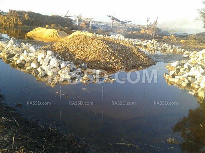 قوات الانقلاب تهدر 600 فدان زراعي في الجمالية دقهلية