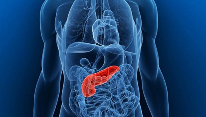 دراسات: أعداد المصابين بسرطان البنكرياس تزداد سنويا بنسبة 10%