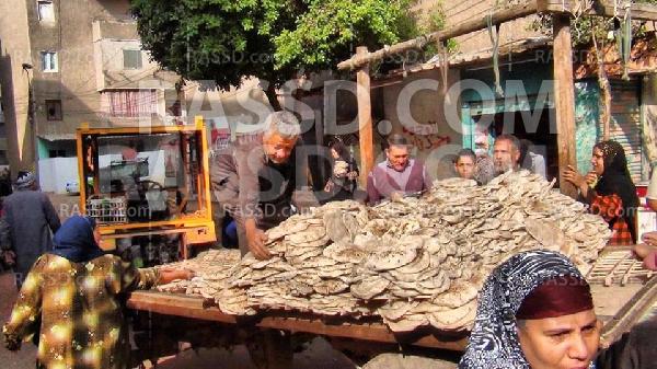 “وعادت ريما لعادتها القديمة” عيش الصراصير يعود من جديد