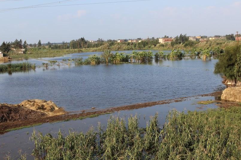 250 صورة تنفرد بها “رصد” لغرق محافظة البحيرة