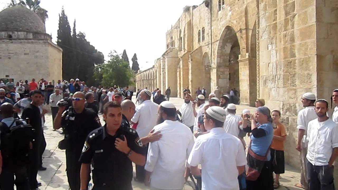 43 مستوطنًا “إسرائيليًا” يقتحمون الأقصى اليوم