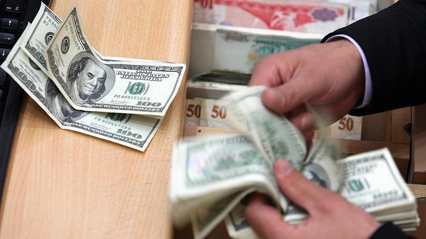 المالية: تدفقات النقد الأجنبي بلغت 1.5 مليار دولار منذ تعويم الجنيه