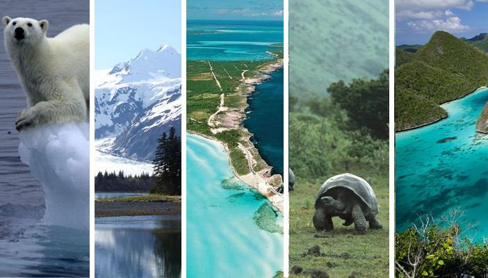 أفضل 6 أماكن في العالم لقضاء إجازة بحرية ممتعة