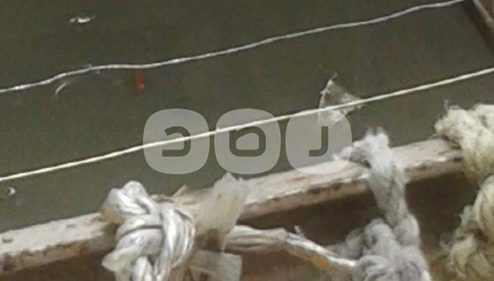 بالصور.. غرق شوارع المنزلة الجديدة بمياه الصرف الصحي