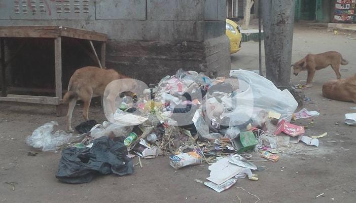 بالصور.. انتشار القمامة بشوارع الشرقية وغياب تام لعمال النظافة