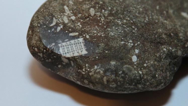روسيا.. اكتشاف حجر فيه شريحة عمرها 250 مليون سنة