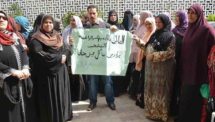 13 ألف عامل زراعي دون رواتب بالدقهلية منذ 2007