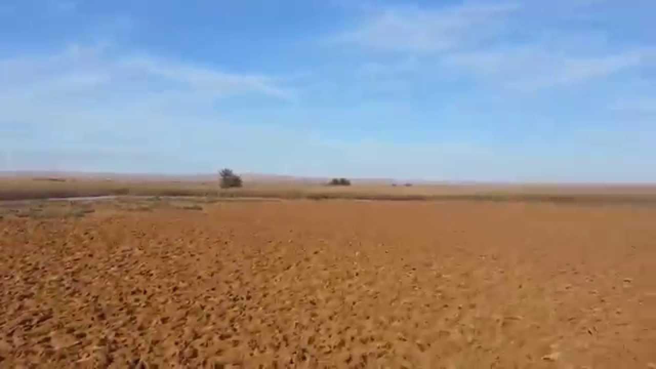 لجنة السياحة بالنواب تطالب ألمانيا بتعويض مصر عن آثار الحرب العالمية