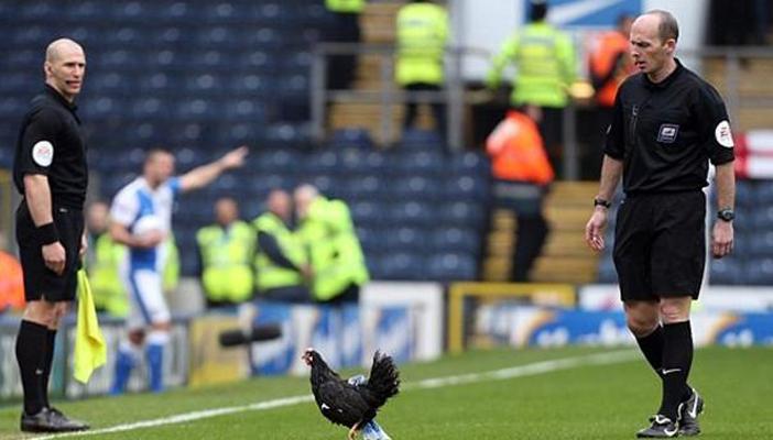 أغرب ١٠ وقائع في ملاعب كرة القدم