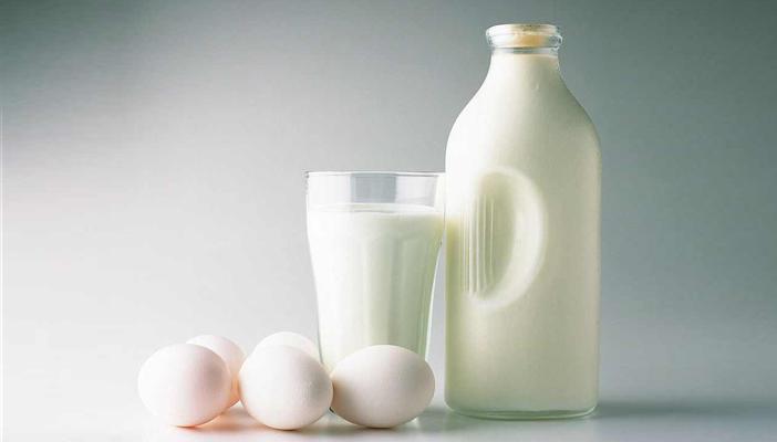 تعرَّف على حقيقة أضرار البيض والحليب وكيفية تجنبها