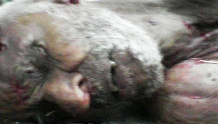 بالصور.. الجيش يقتل مسنا في سيناء أثناء سيره لصرف المعاش