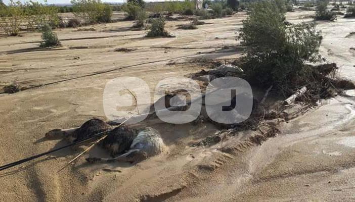 بالصور.. شهر على كارثة “عفونة” والدمار لا يزال شاهدا على تجاهل الحكومة